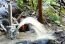 meribah ram pump 1 inch thailand